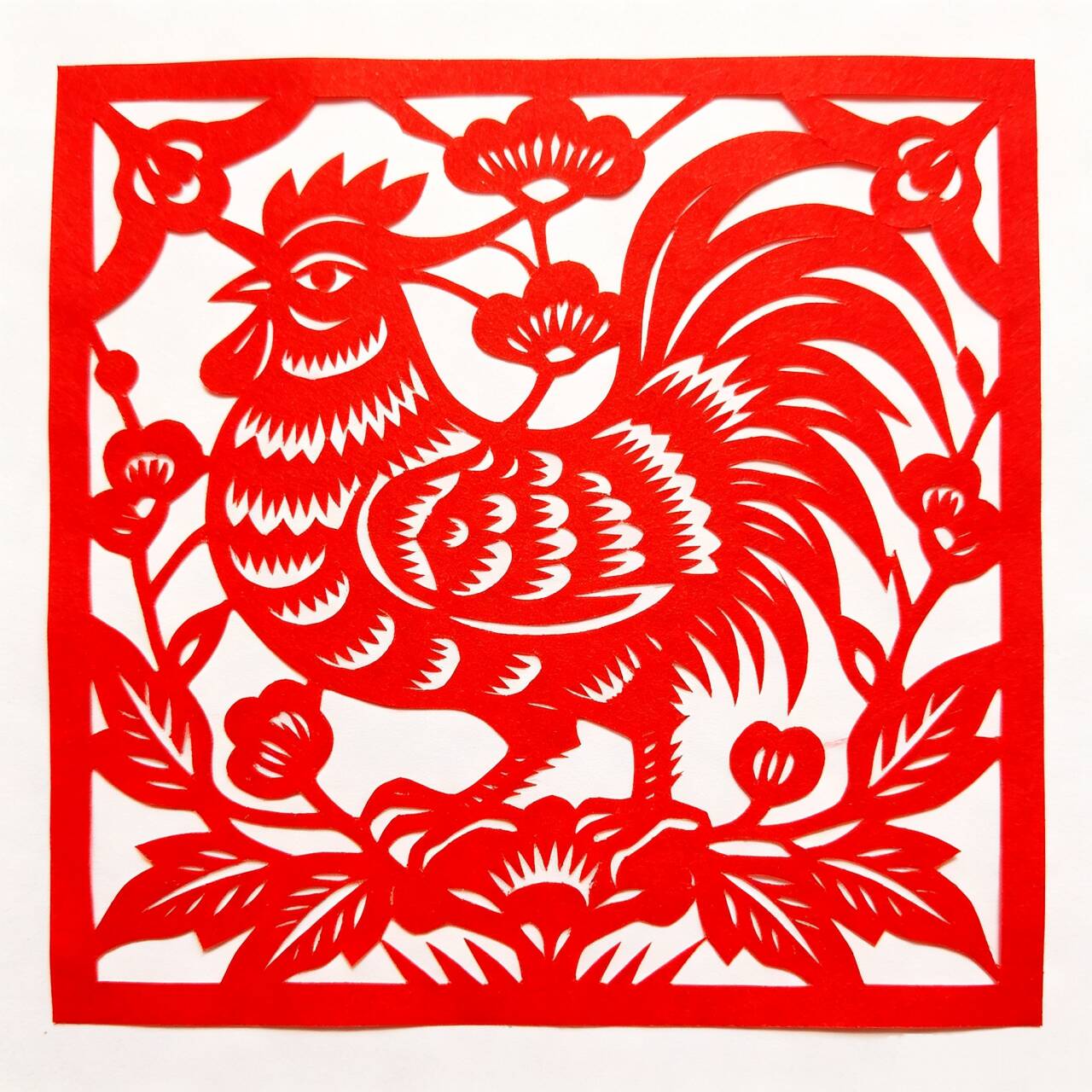 阳剪为主
